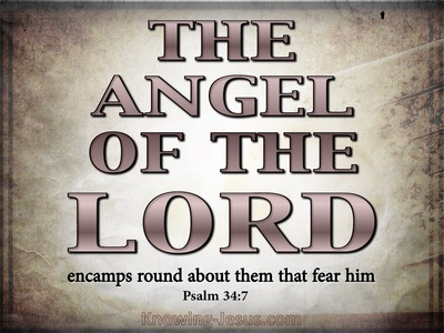 Psalm 34:7 The Angel Of The Lord Encamps (pink)